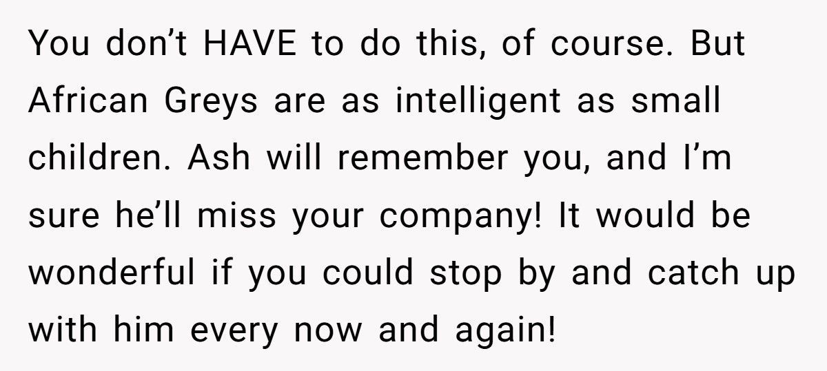 Brother Leaves Sister A Parrot In His Will, She Refuses To Keep It Brother Leaves Sister A Parrot In His Will, She Refuses To Keep It