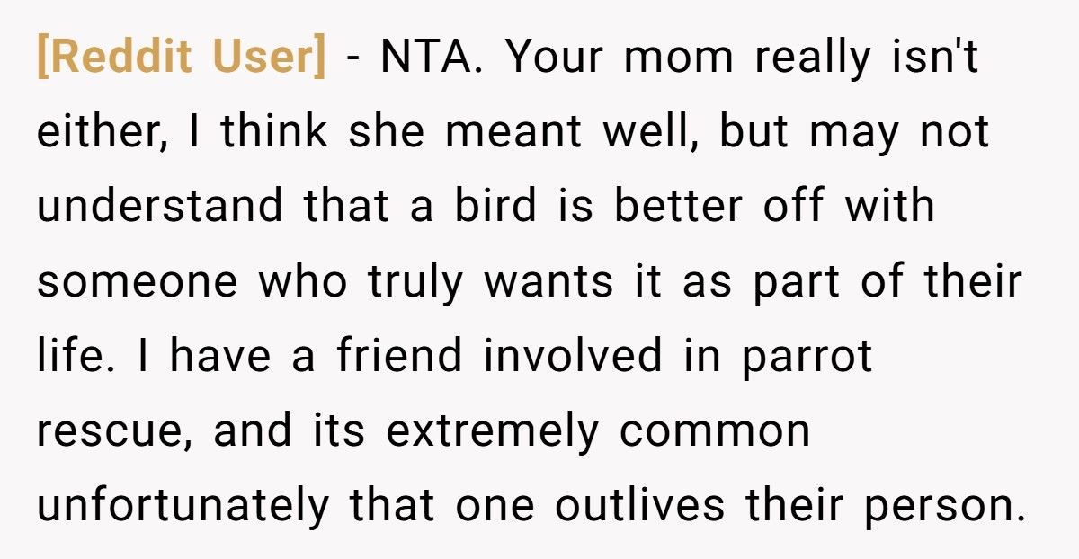 Brother Leaves Sister A Parrot In His Will, She Refuses To Keep It Brother Leaves Sister A Parrot In His Will, She Refuses To Keep It