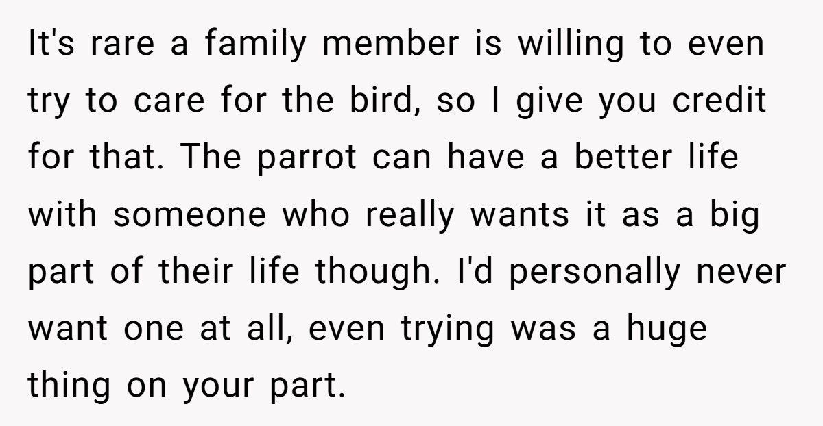 Brother Leaves Sister A Parrot In His Will, She Refuses To Keep It Brother Leaves Sister A Parrot In His Will, She Refuses To Keep It