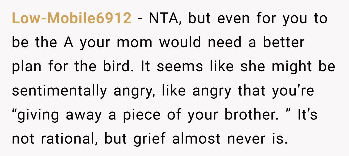 Brother Leaves Sister A Parrot In His Will, She Refuses To Keep It Brother Leaves Sister A Parrot In His Will, She Refuses To Keep It