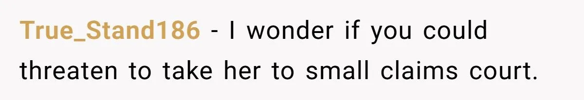Host Demanded $1,200 For Fake “Cleaning”, So Guest Cleaned Her Reviews Host Demanded $1,200 For Fake “Cleaning”, So Guest Cleaned Her Reviews