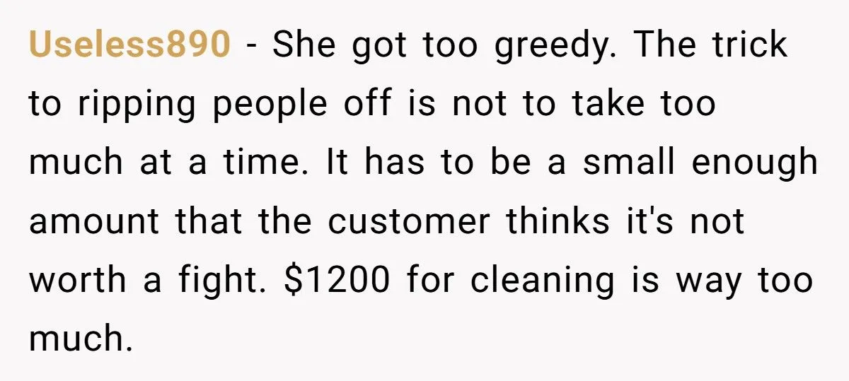 Host Demanded $1,200 For Fake “Cleaning”, So Guest Cleaned Her Reviews Host Demanded $1,200 For Fake “Cleaning”, So Guest Cleaned Her Reviews