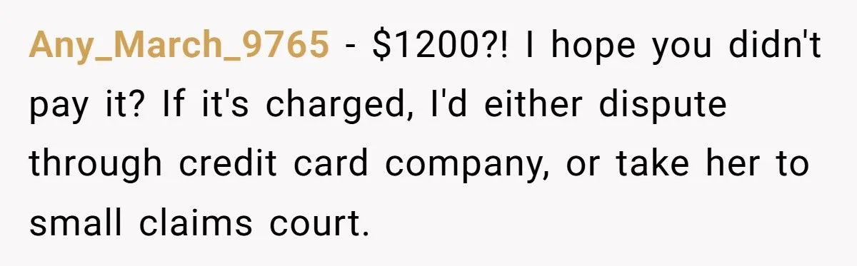 Host Demanded $1,200 For Fake “Cleaning”, So Guest Cleaned Her Reviews Host Demanded $1,200 For Fake “Cleaning”, So Guest Cleaned Her Reviews