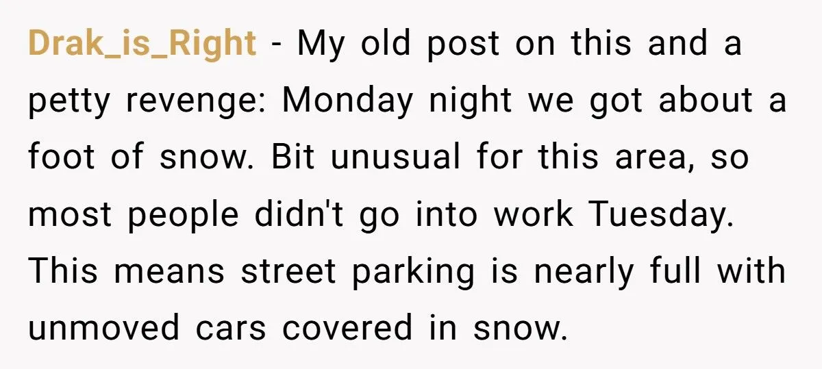 Neighbor Took His Parking Spot After He Shoveled For 45 minutes, So He Poured Water In Neighbor's Windshield