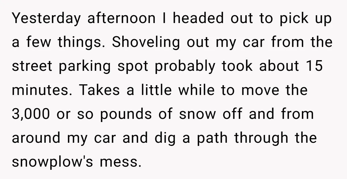 Neighbor Took His Parking Spot After He Shoveled For 45 minutes, So He Poured Water In Neighbor's Windshield