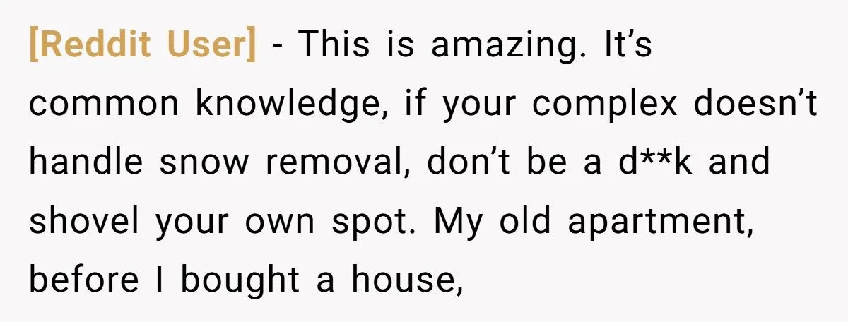 Neighbor Took His Parking Spot After He Shoveled For 45 minutes, So He Poured Water In Neighbor's Windshield