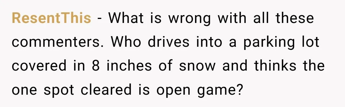Neighbor Took His Parking Spot After He Shoveled For 45 minutes, So He Poured Water In Neighbor's Windshield