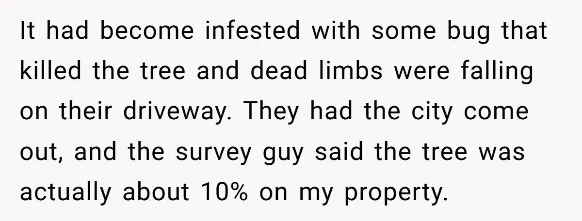 Generated by Aubtu.biz 