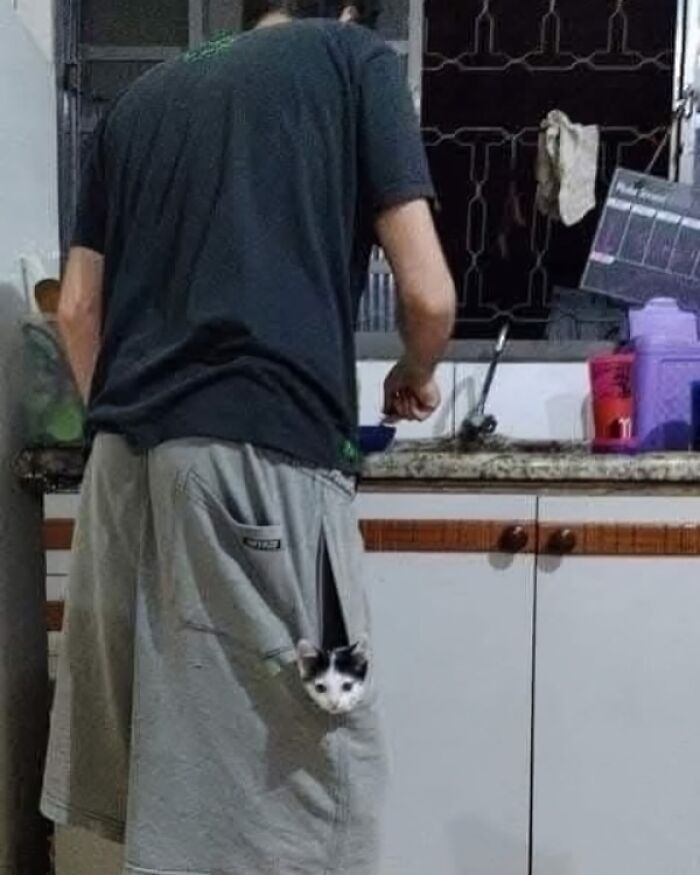 40 Absurdly Funny Photos That Make Zero Sense And We Love It