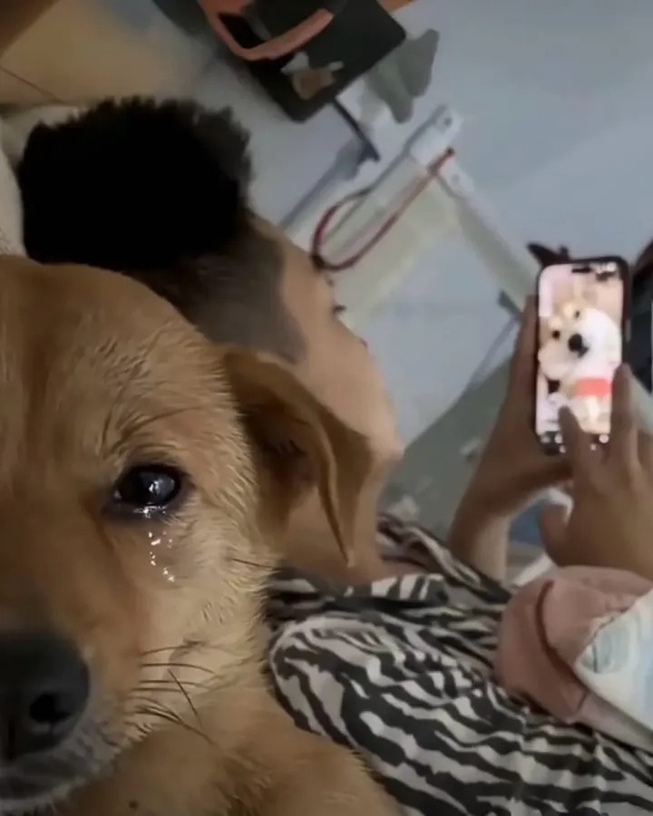 40 Absurdly Funny Photos That Make Zero Sense And We Love It