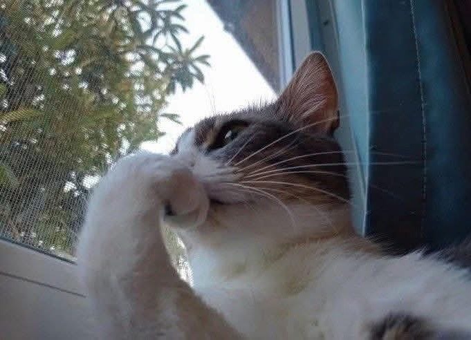 40 Absurdly Funny Photos That Make Zero Sense And We Love It