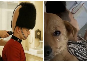 40 Absurdly Funny Photos That Make Zero Sense And We Love It