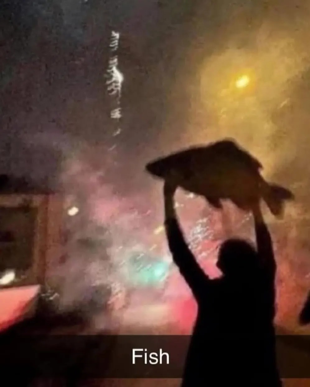 40 Absurdly Funny Photos That Make Zero Sense And We Love It