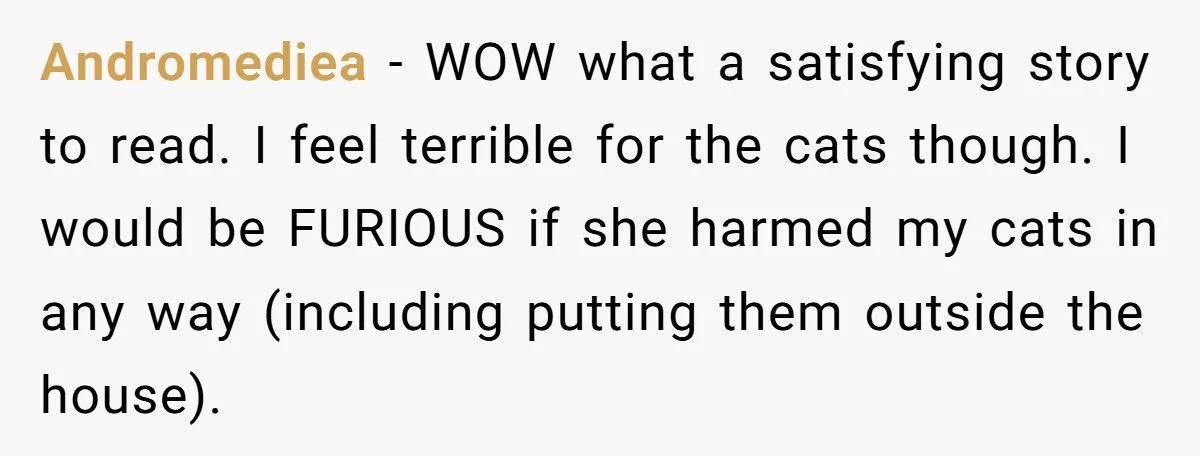 Generated by Aubtu.biz 