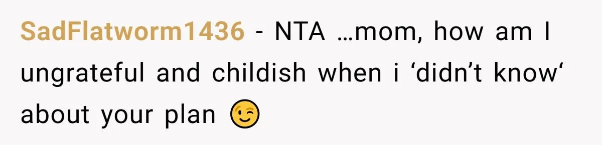 Mother Turns Wedding Into Family Reunion Behind Bride’s Back, Gets Blindsided When Newlyweds Disappear Generated by Aubtu.biz