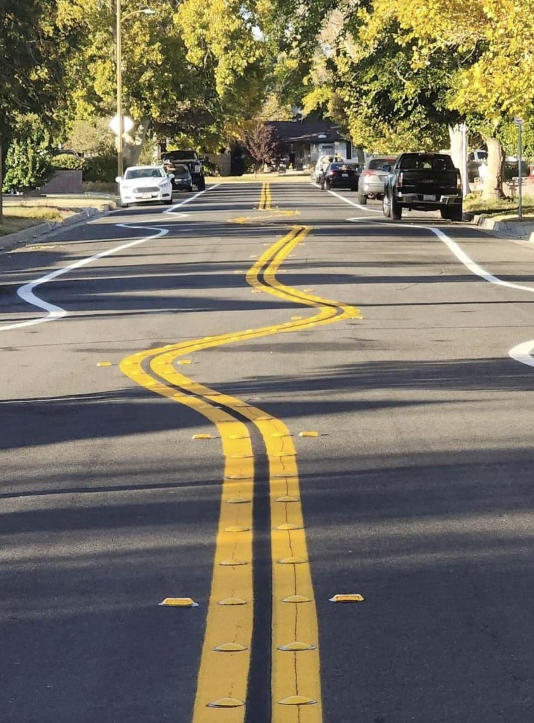 40 WTF Photos That Defy Logic