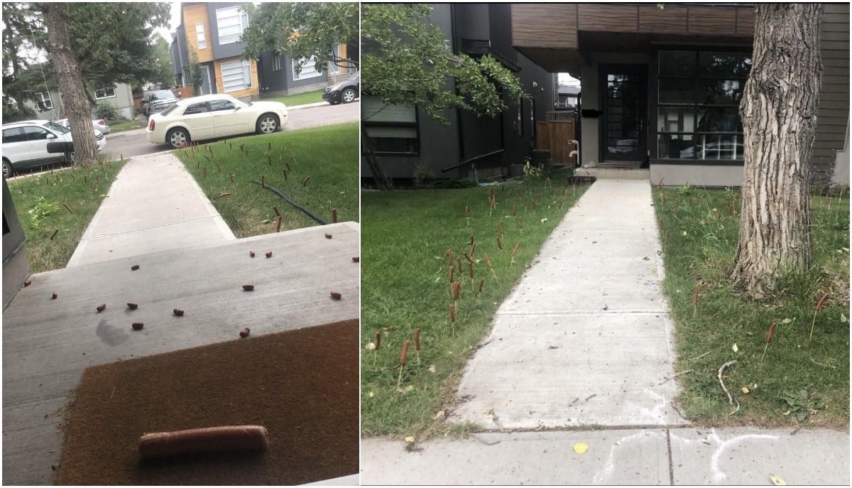 40 WTF Photos That Defy Logic