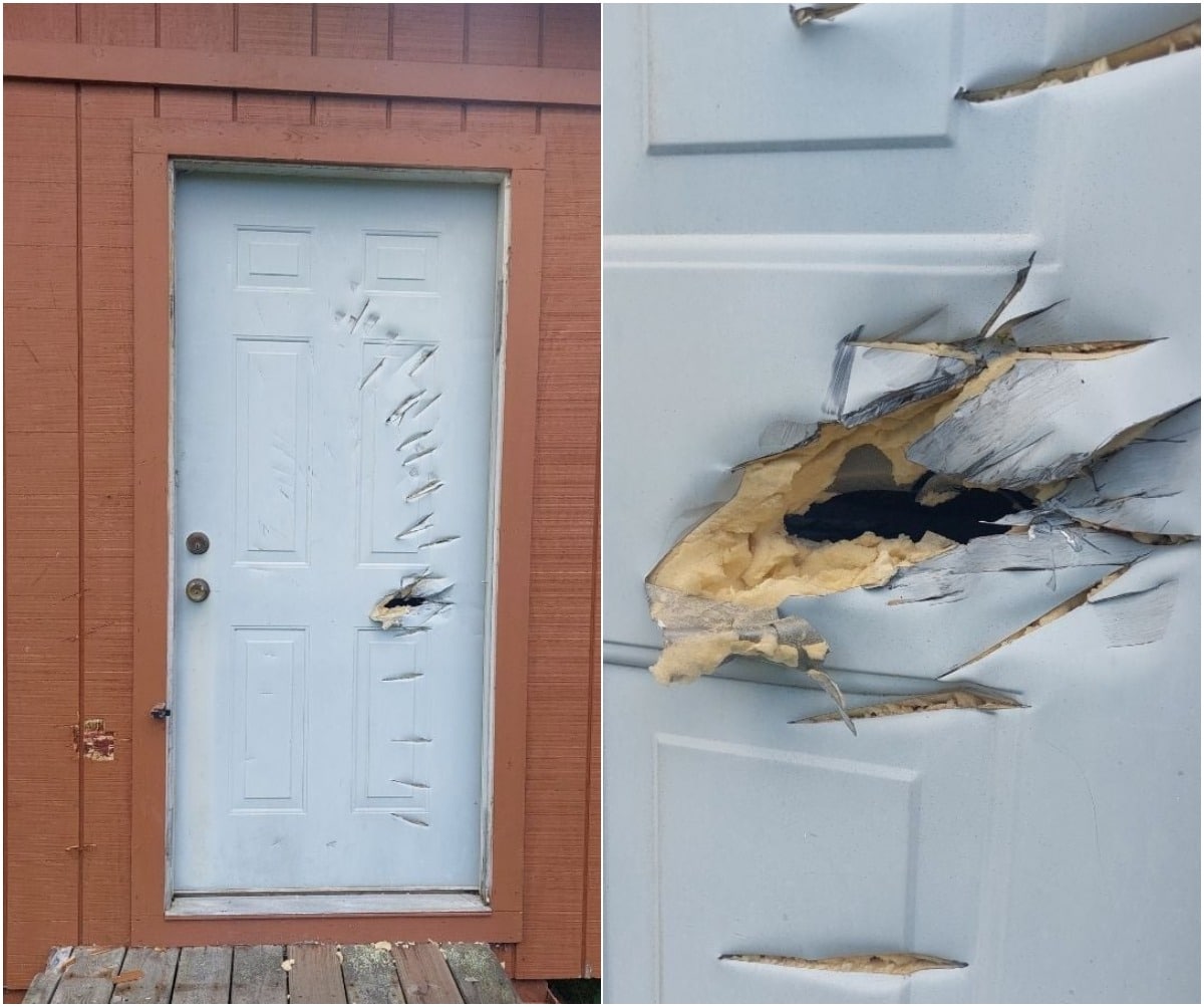 40 WTF Photos That Defy Logic