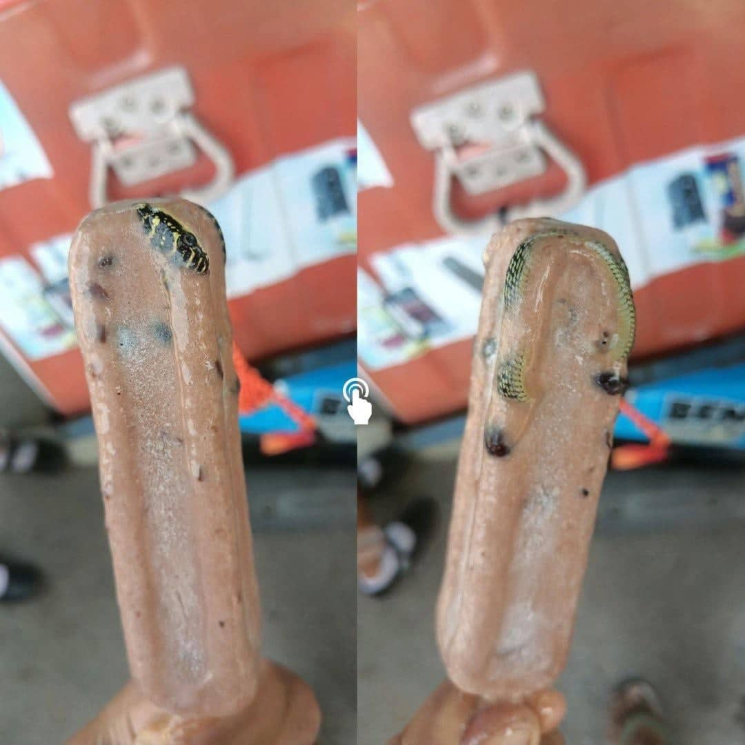 40 WTF Photos That Defy Logic