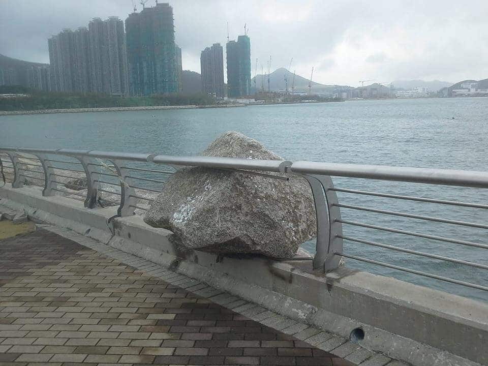 40 WTF Photos That Defy Logic