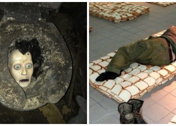 40 WTF Photos That Defy Logic