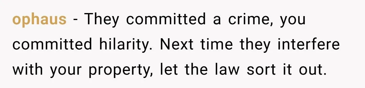 Petty Neighbor Said She Couldn’t Put Out Trash Late, So She Put His Entire Pickup On “Vacation” Generated by Aubtu.biz