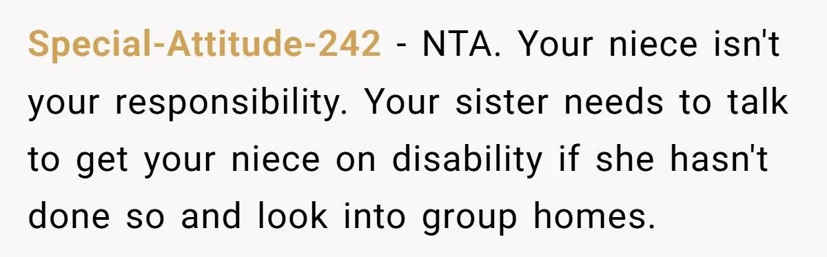A Redditor’s Thanksgiving Explodes into Drama After Sister Asks Him to Care for Her Disabled Daughter