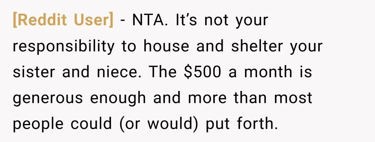 A Redditor’s Thanksgiving Explodes into Drama After Sister Asks Him to Care for Her Disabled Daughter