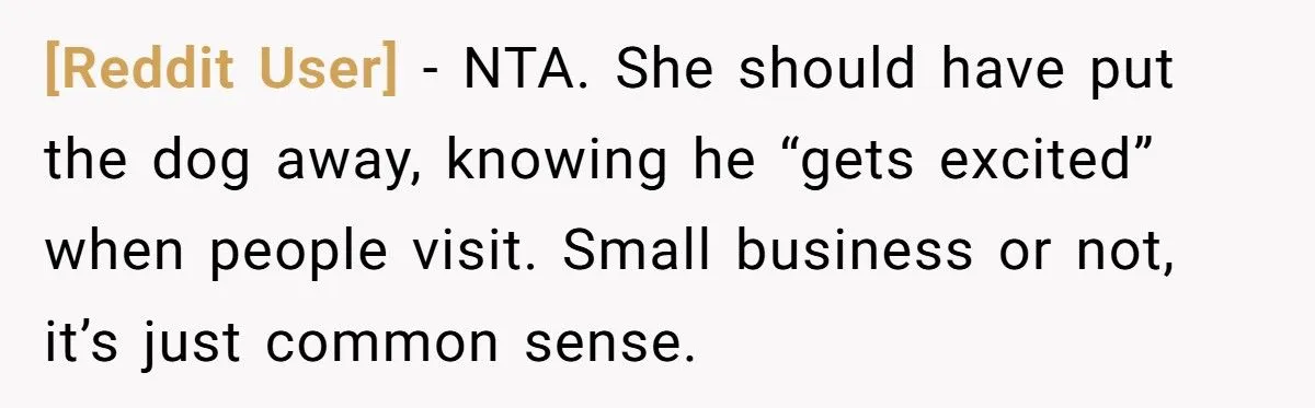 Gender Reveal Cupcakes Ruined By Dog Lead To Payment Dispute