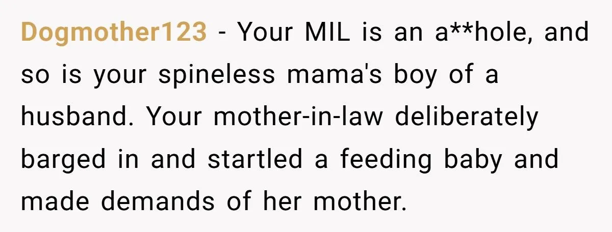 A New Mom’s Topless Table Stunt Shut Down Her MIL’s Dinner Demands