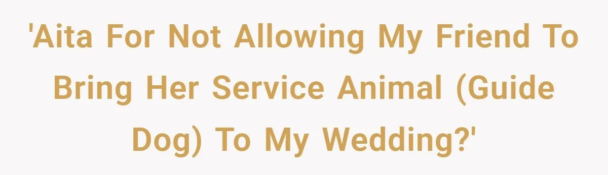 Drama You Won’t Believe: Bride Bans Blind Friend’s Guide Dog from Wedding Drama You Won’t Believe: Bride Bans Blind Friend’s Guide Dog from Wedding