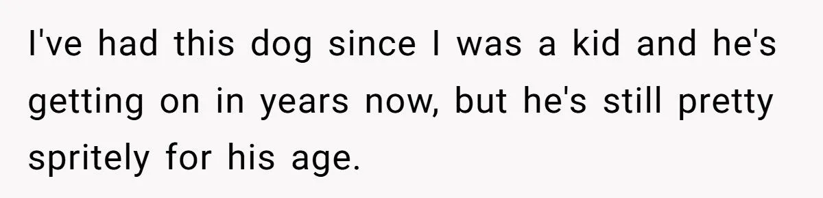 Dog Owner Torn as Neighbor Keeps ‘Borrowing’ His Pup to Entertain Autistic Son - But Bad Habits and Boundaries Spark Clash