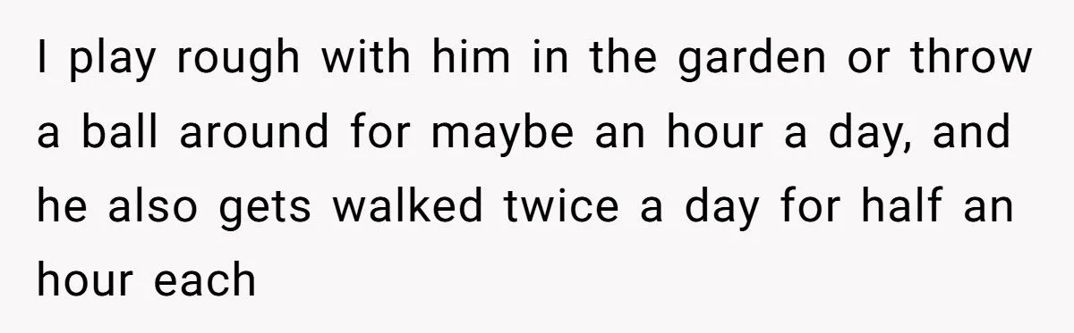 Dog Owner Torn as Neighbor Keeps ‘Borrowing’ His Pup to Entertain Autistic Son - But Bad Habits and Boundaries Spark Clash