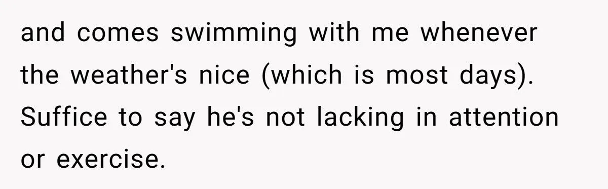 Dog Owner Torn as Neighbor Keeps ‘Borrowing’ His Pup to Entertain Autistic Son - But Bad Habits and Boundaries Spark Clash