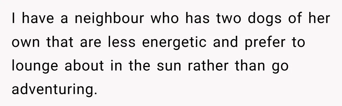 Dog Owner Torn as Neighbor Keeps ‘Borrowing’ His Pup to Entertain Autistic Son - But Bad Habits and Boundaries Spark Clash