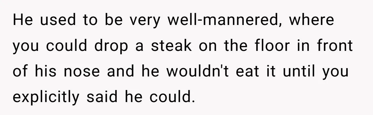 Dog Owner Torn as Neighbor Keeps ‘Borrowing’ His Pup to Entertain Autistic Son - But Bad Habits and Boundaries Spark Clash