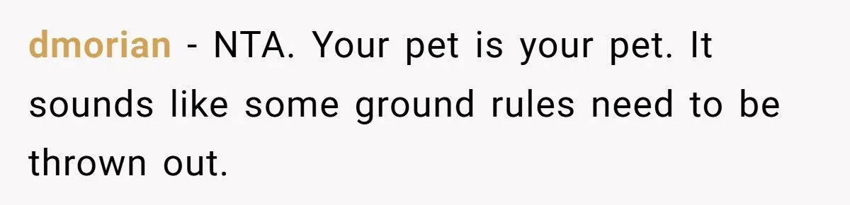 Dog Owner Torn as Neighbor Keeps ‘Borrowing’ His Pup to Entertain Autistic Son - But Bad Habits and Boundaries Spark Clash