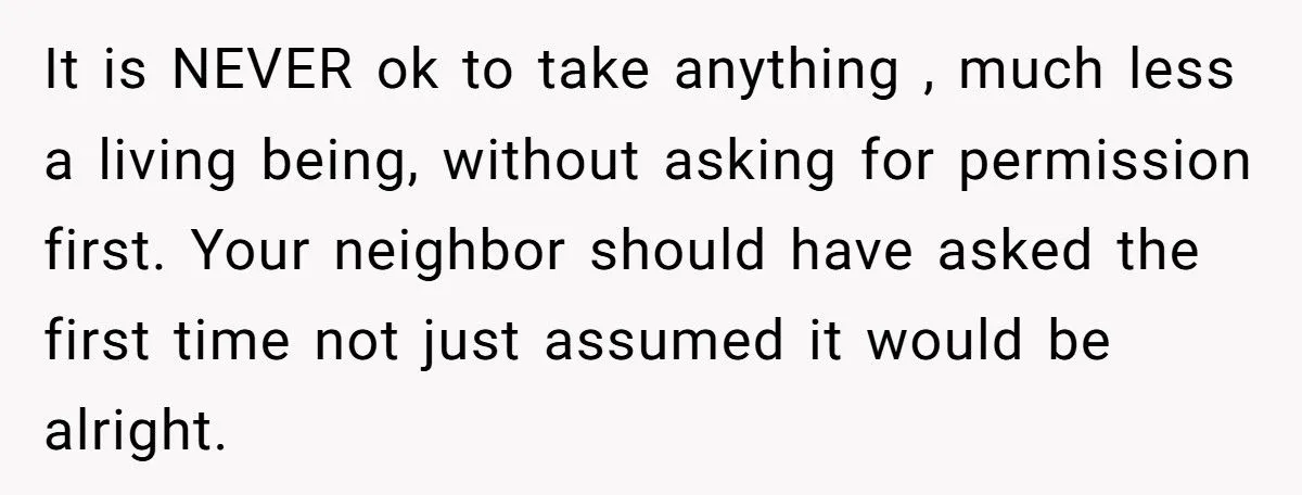 Dog Owner Torn as Neighbor Keeps ‘Borrowing’ His Pup to Entertain Autistic Son - But Bad Habits and Boundaries Spark Clash