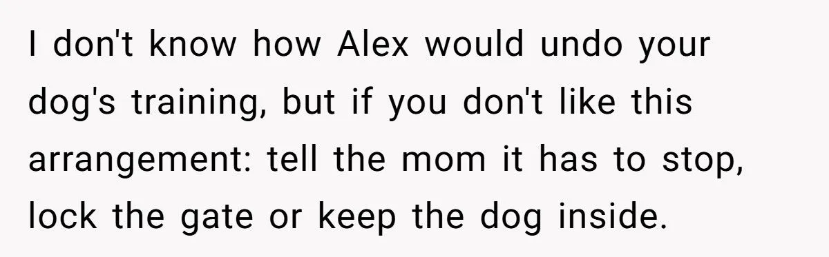 Dog Owner Torn as Neighbor Keeps ‘Borrowing’ His Pup to Entertain Autistic Son - But Bad Habits and Boundaries Spark Clash