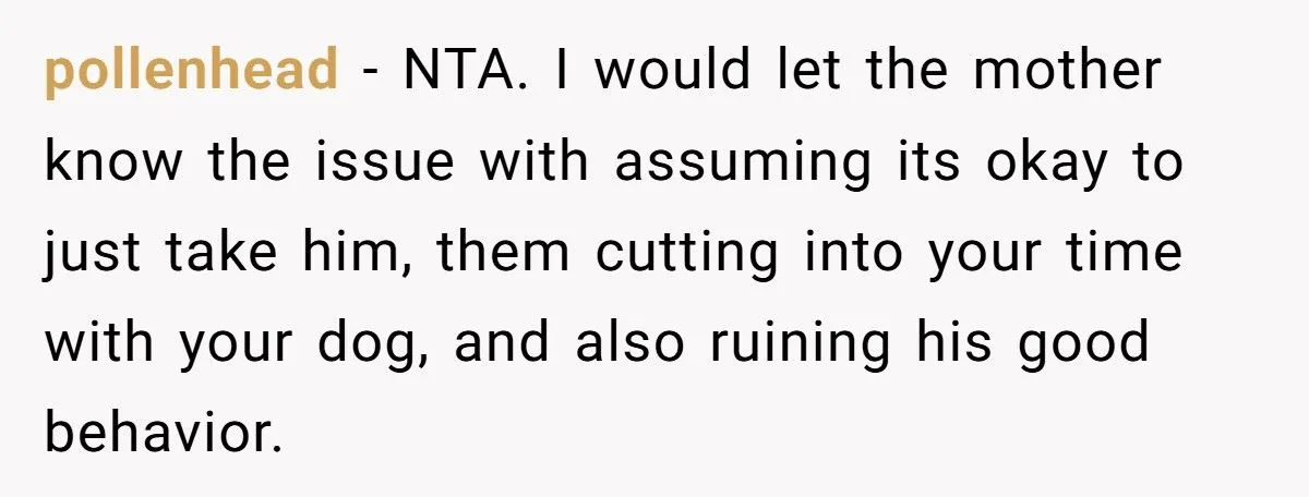 Dog Owner Torn as Neighbor Keeps ‘Borrowing’ His Pup to Entertain Autistic Son - But Bad Habits and Boundaries Spark Clash