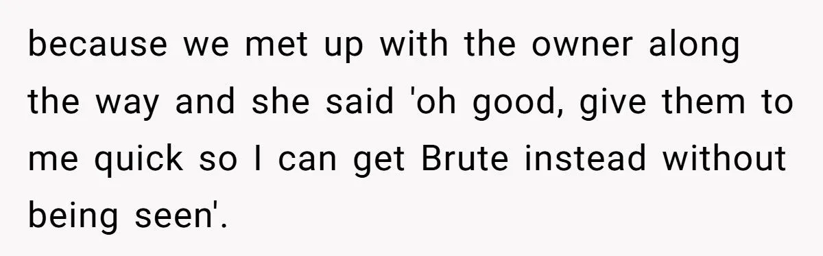 Woman Cancels $4K AirBnB After SIL Brings Her Dog - Leaves SIL Stranded and Begging for Help