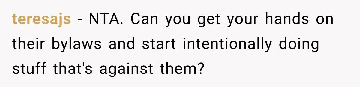 Homeowner Defies HOA Rules, Faces Neighbor Fury Over Woodpile And More