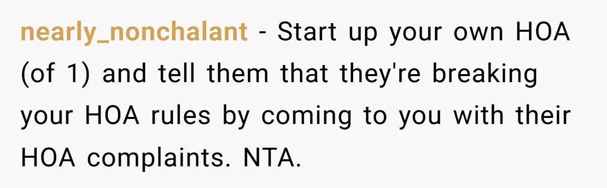 Homeowner Defies HOA Rules, Faces Neighbor Fury Over Woodpile And More