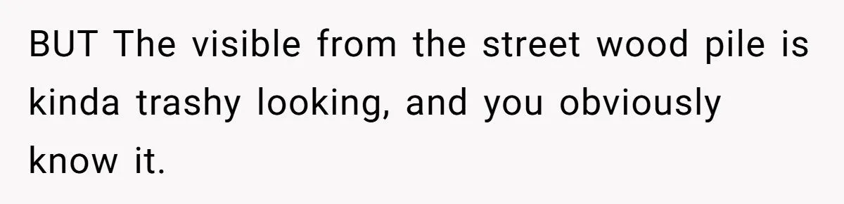 Homeowner Defies HOA Rules, Faces Neighbor Fury Over Woodpile And More