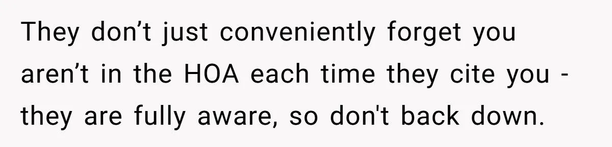 Homeowner Defies HOA Rules, Faces Neighbor Fury Over Woodpile And More