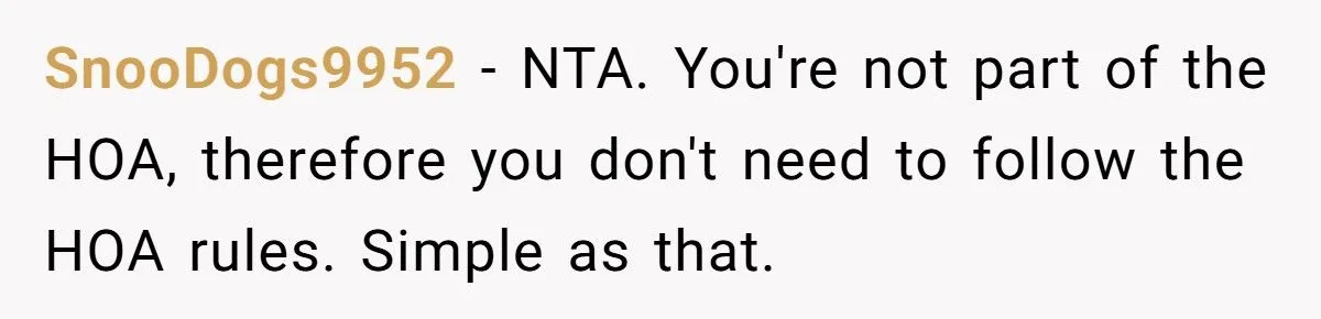 Homeowner Defies HOA Rules, Faces Neighbor Fury Over Woodpile And More