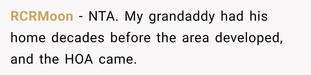 Homeowner Defies HOA Rules, Faces Neighbor Fury Over Woodpile And More