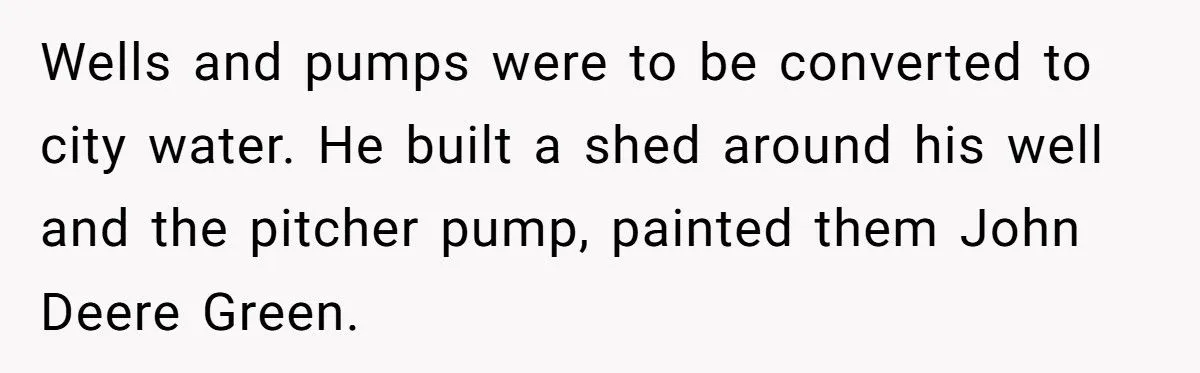 Homeowner Defies HOA Rules, Faces Neighbor Fury Over Woodpile And More