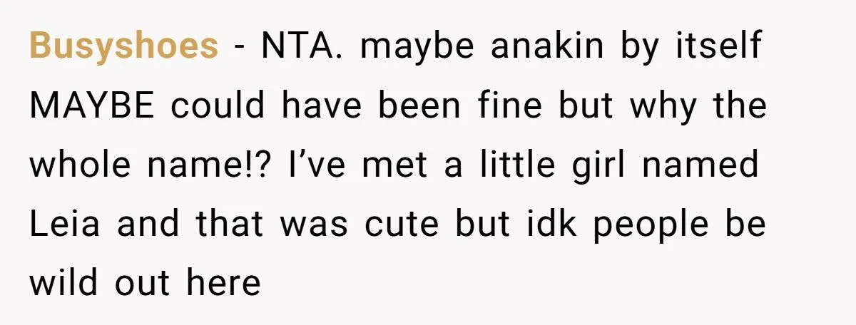 Reddit Explodes After Teen Mom Says She’s Naming Her Baby Anakin Skywalker - Brother Calls Her an Id-ot