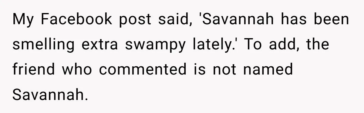 When A Facebook Post About A Swampy City Sparked A Social Media Showdown